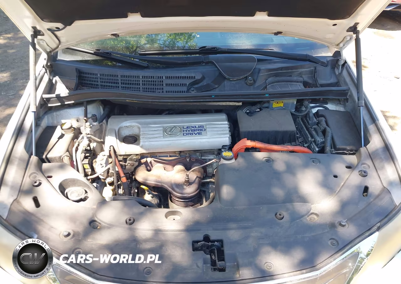 2010 Lexus Hs 250H Premium VIN:JTHBB1BA1A2006859 - 10