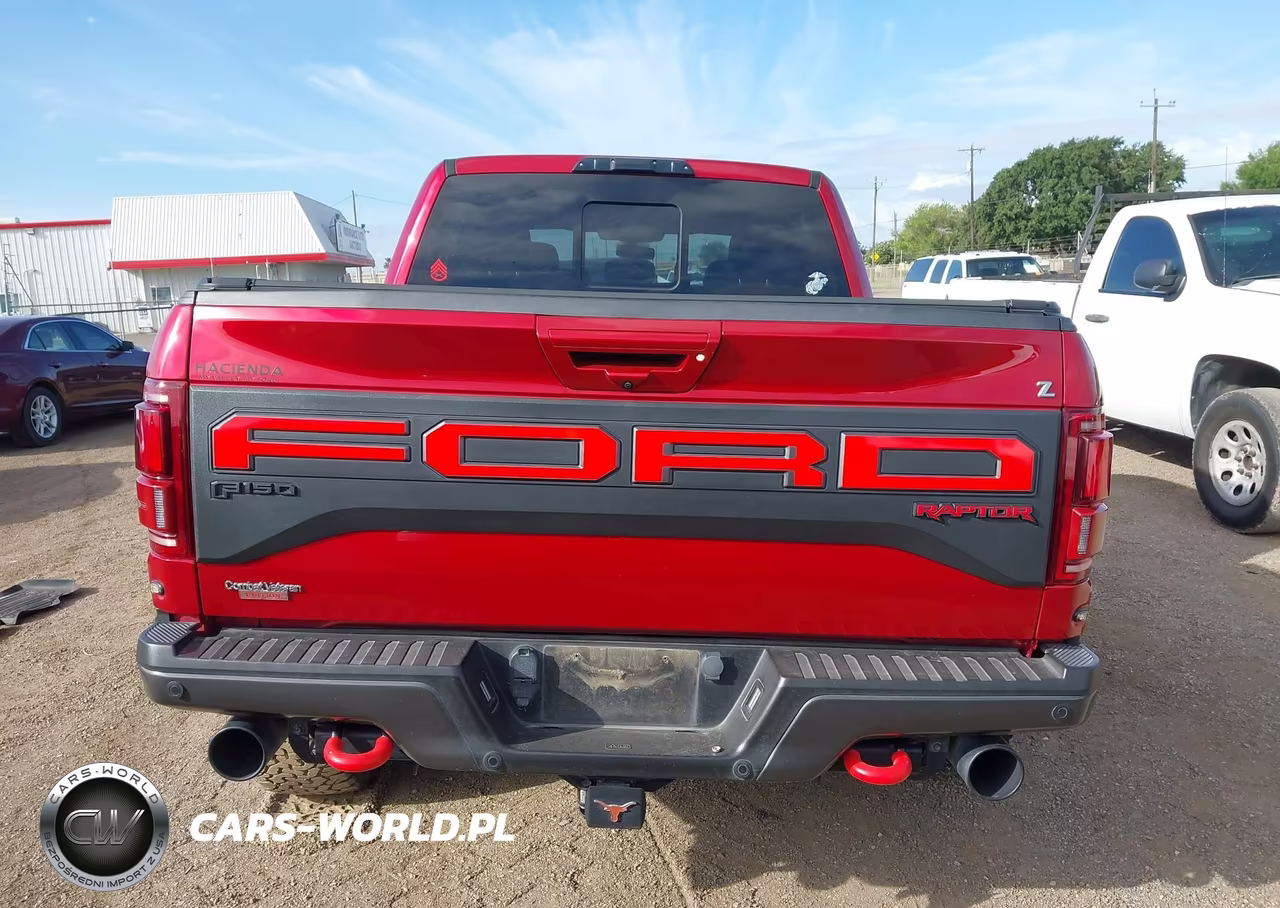 2020 Ford F-150 Raptor VIN:1FTFW1RG2LFB08510 - 17