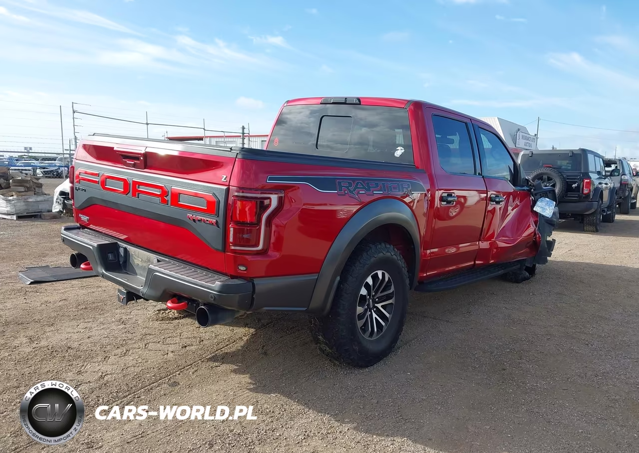 2020 Ford F-150 Raptor VIN:1FTFW1RG2LFB08510 - 4