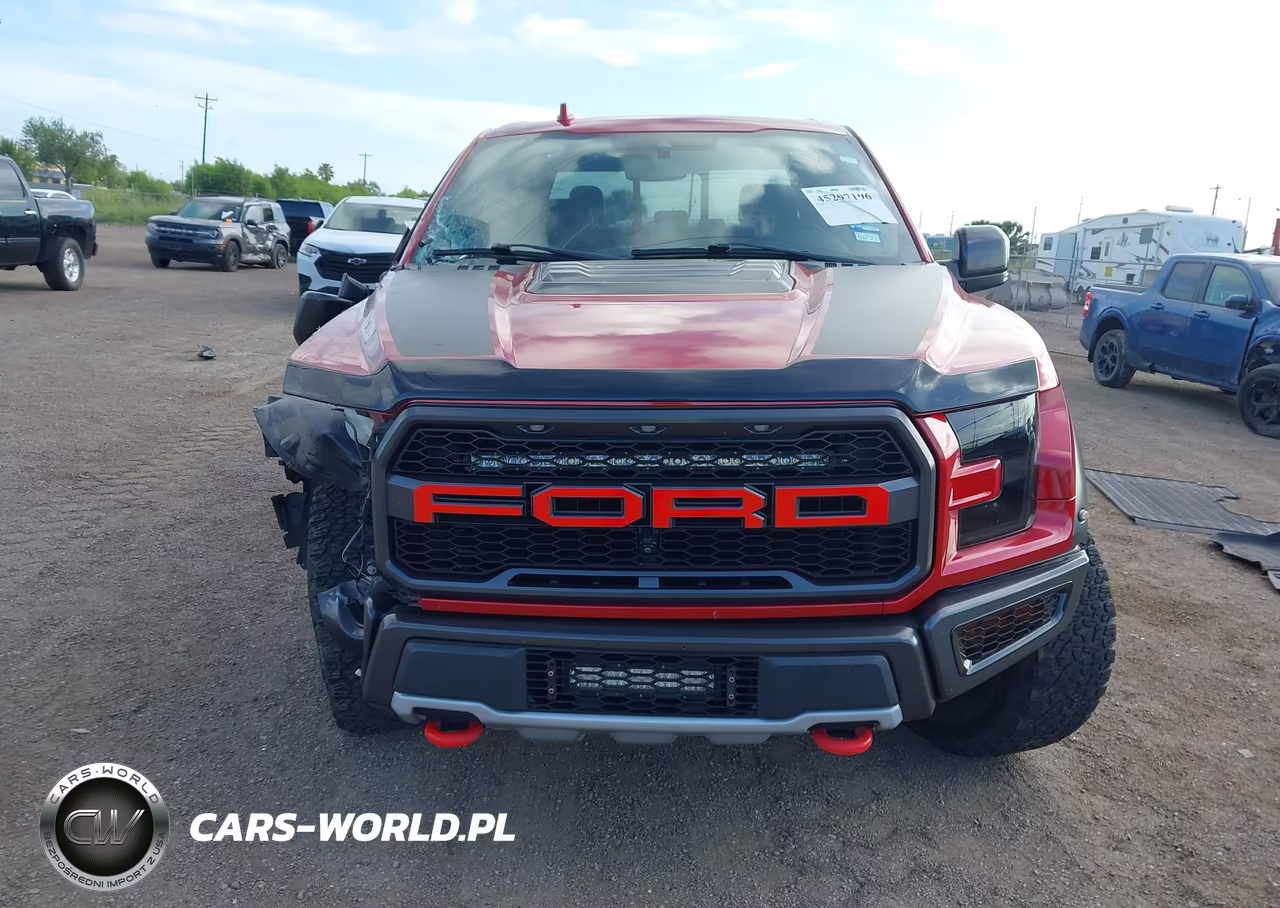 2020 Ford F-150 Raptor VIN:1FTFW1RG2LFB08510 - 6