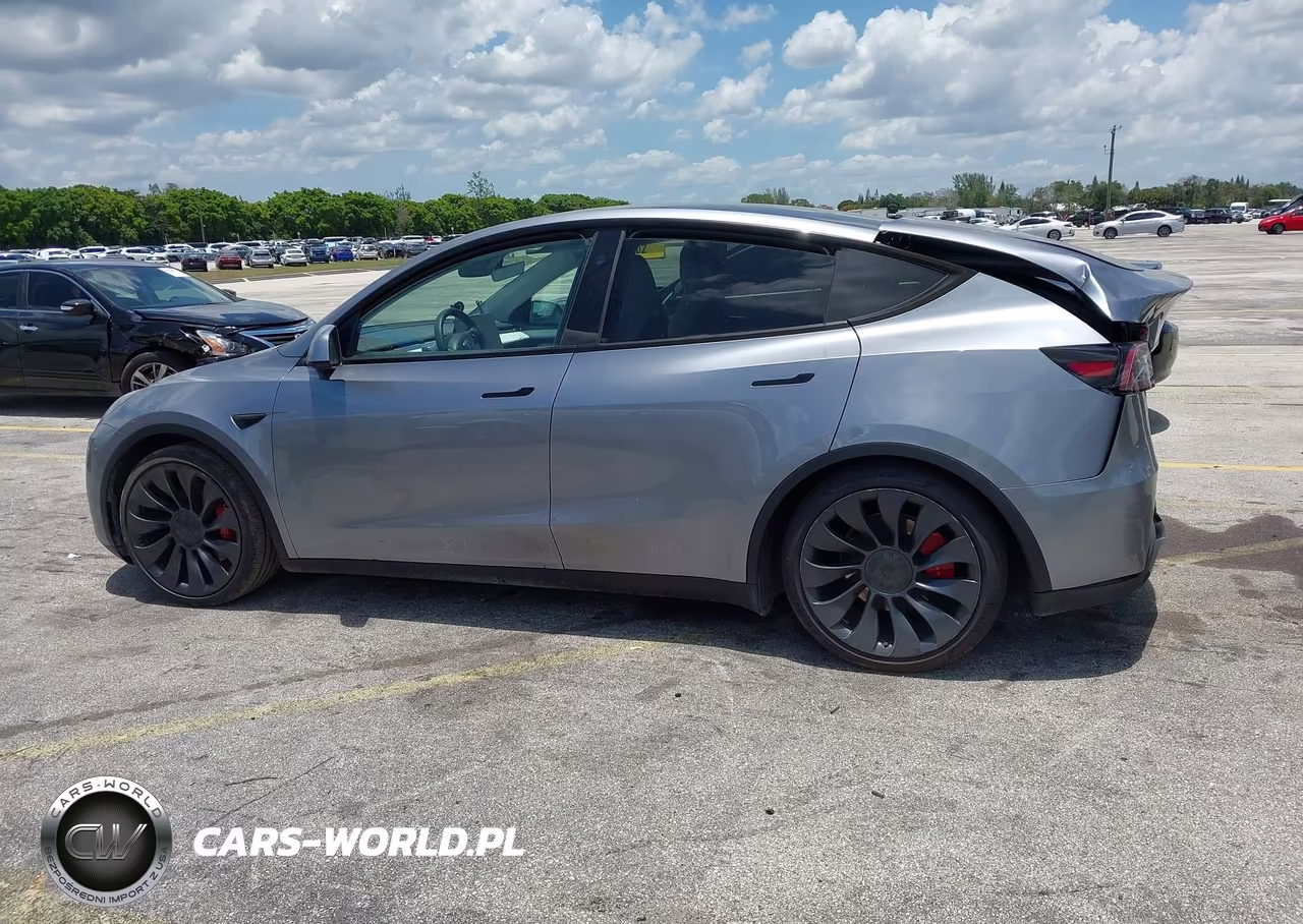 2024 Tesla Model Y Performance Dual Motor All-Wheel Drive VIN:7SAYGDEF0RA306441 - 14