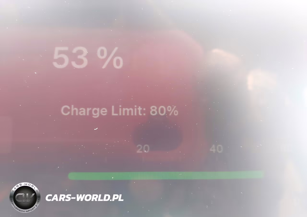 2024 Tesla Model Y Performance Dual Motor All-Wheel Drive VIN:7SAYGDEF0RA306441 - 17