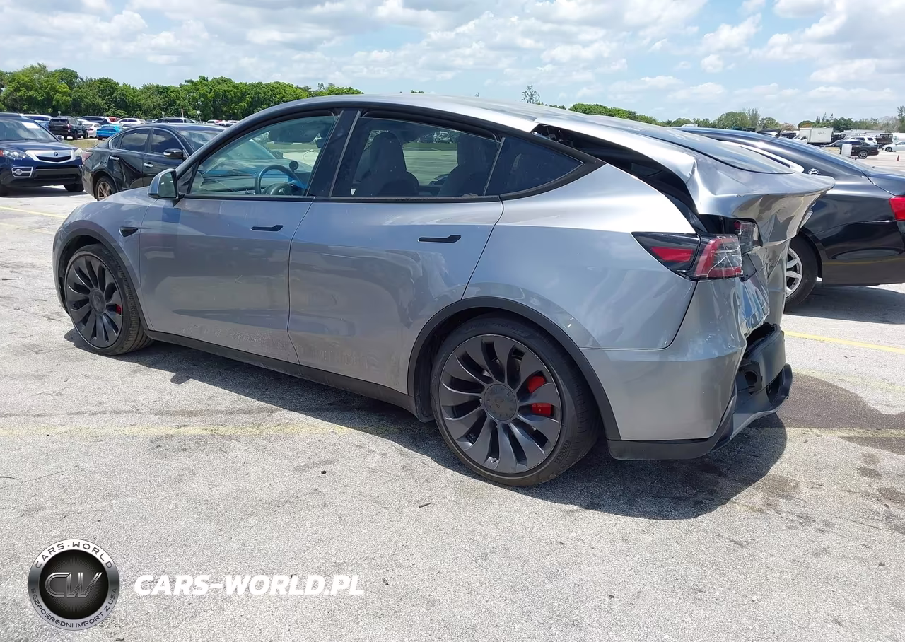 2024 Tesla Model Y Performance Dual Motor All-Wheel Drive VIN:7SAYGDEF0RA306441 - 3