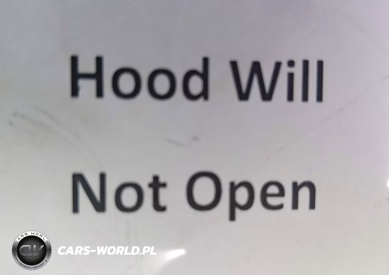 2003 Honda Accord 3.0 Ex VIN:1HGCM66573A026828 - 10