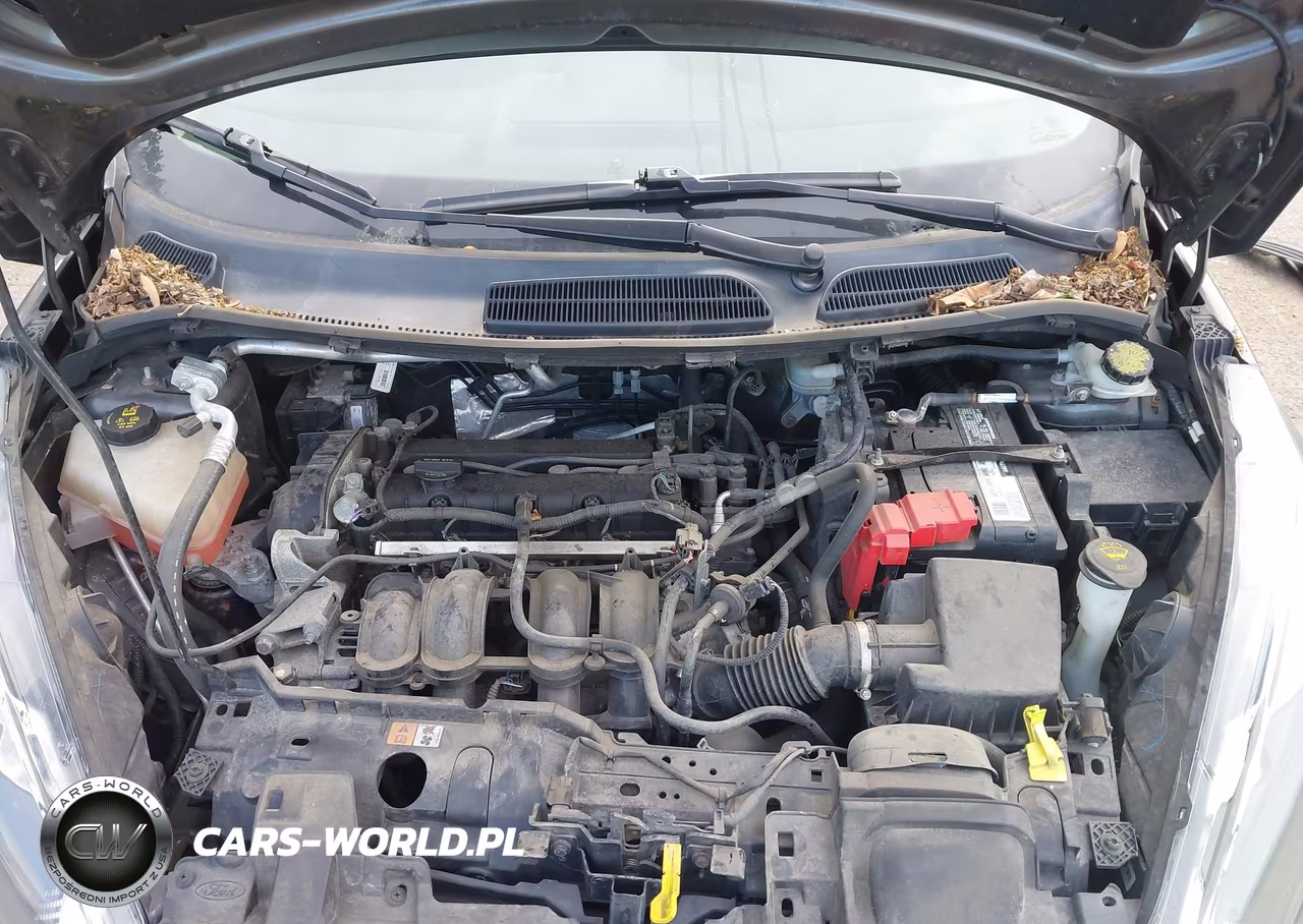 2015 Ford Fiesta Se VIN:3FADP4EJ1FM224282 - 10