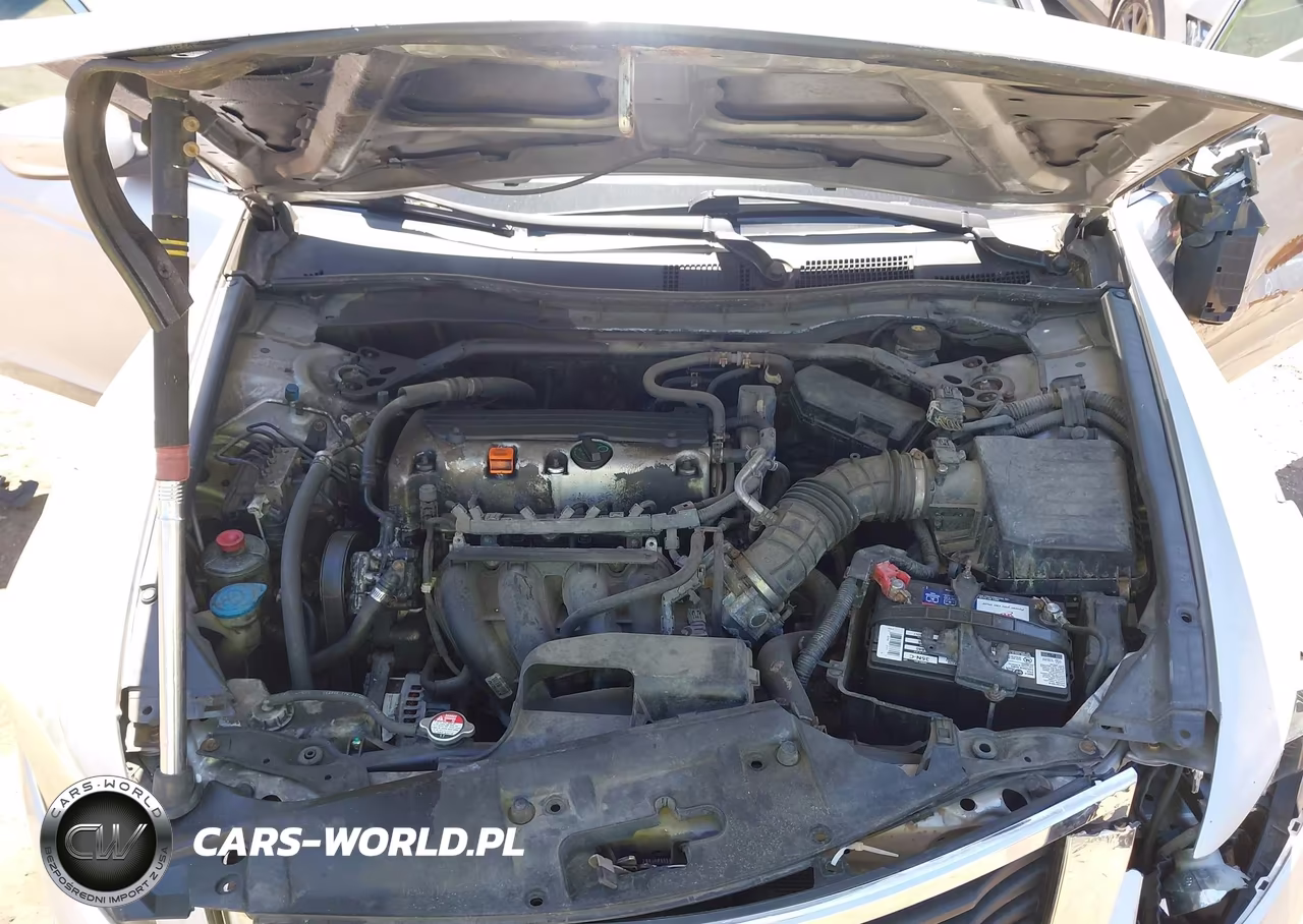 2010 Honda Accord 2.4 Ex VIN:1HGCP2F73AA017879 - 10