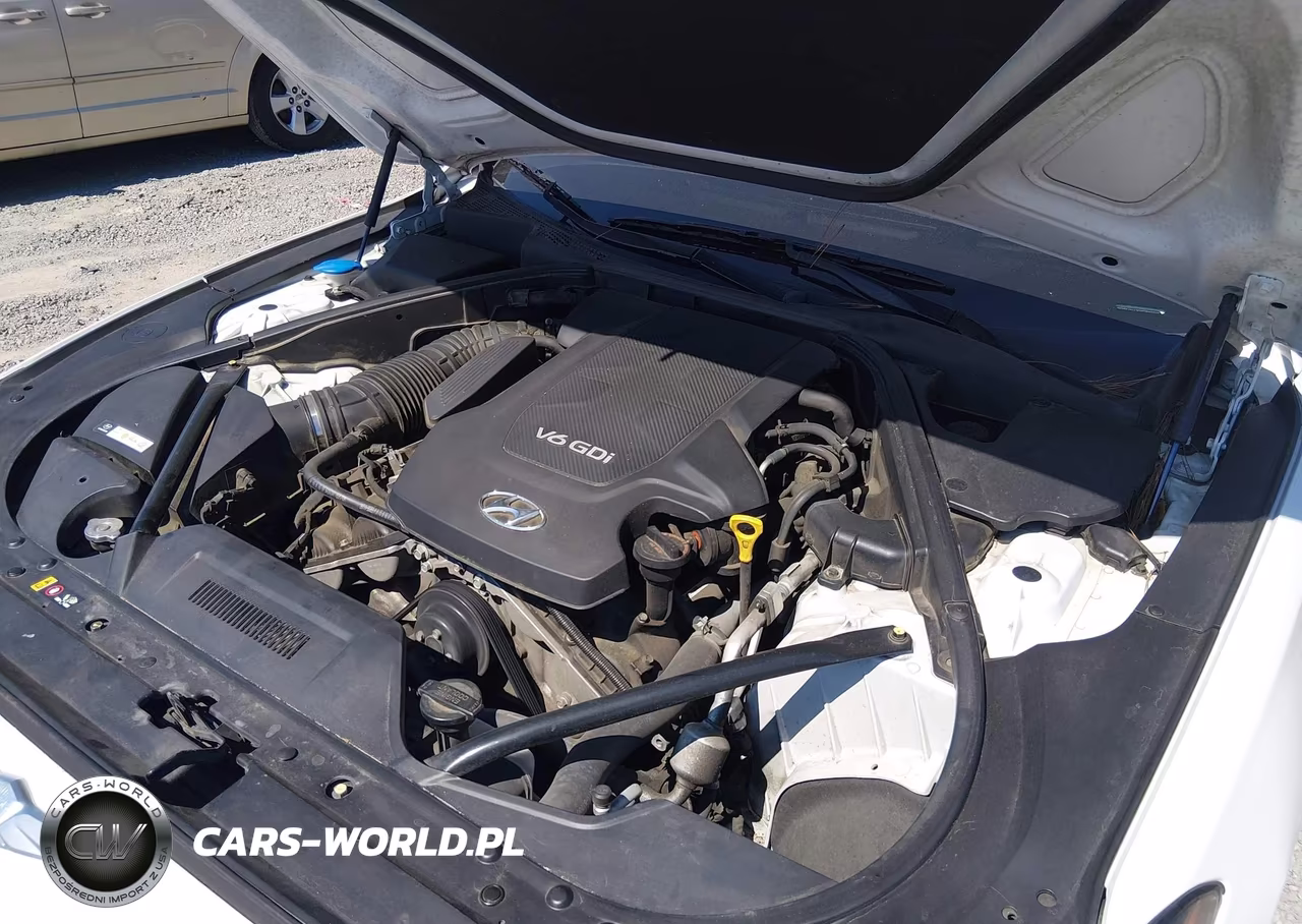 2015 Hyundai Genesis 3.8 VIN:KMHGN4JE9FU089968 - 10
