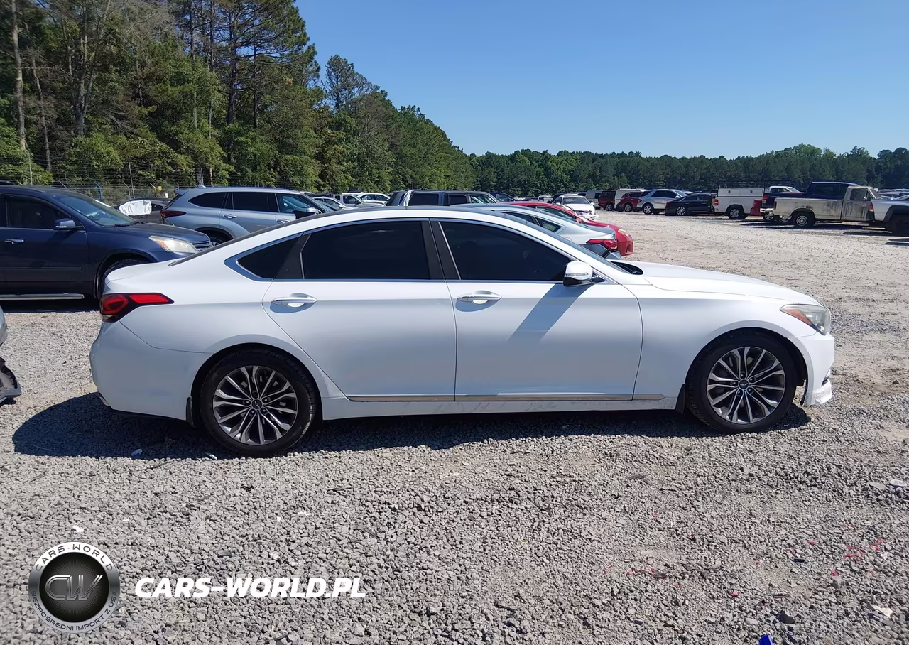 2015 Hyundai Genesis 3.8 VIN:KMHGN4JE9FU089968 - 13