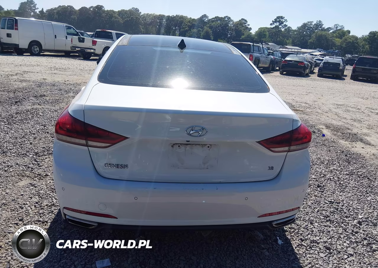 2015 Hyundai Genesis 3.8 VIN:KMHGN4JE9FU089968 - 16