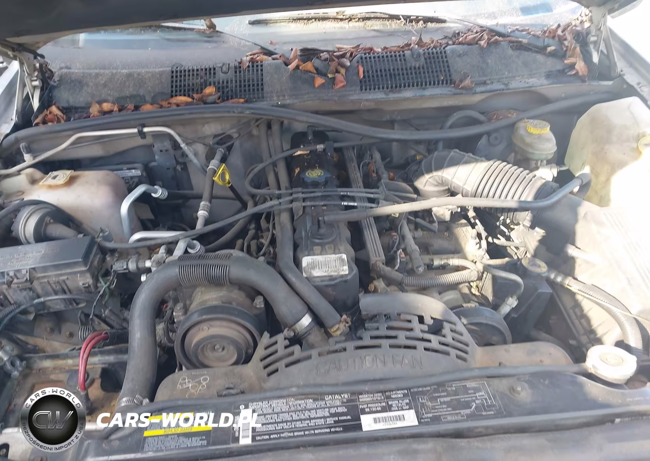1998 Jeep Grand Cherokee Laredo VIN:1J4FX58S9WC149761 - 10