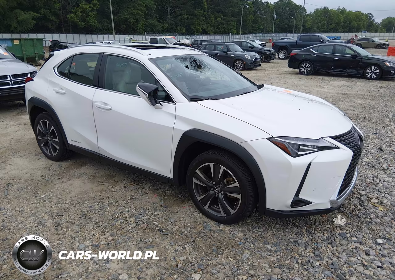 2019 Lexus Ux 250H
