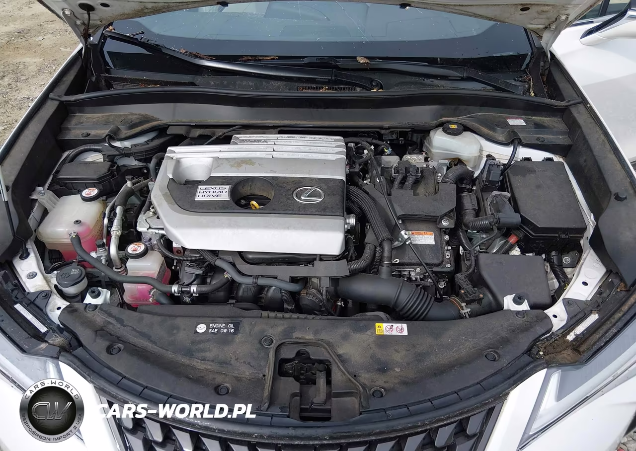 2019 Lexus Ux 250H VIN:JTHU9JBH5K2004826 - 10