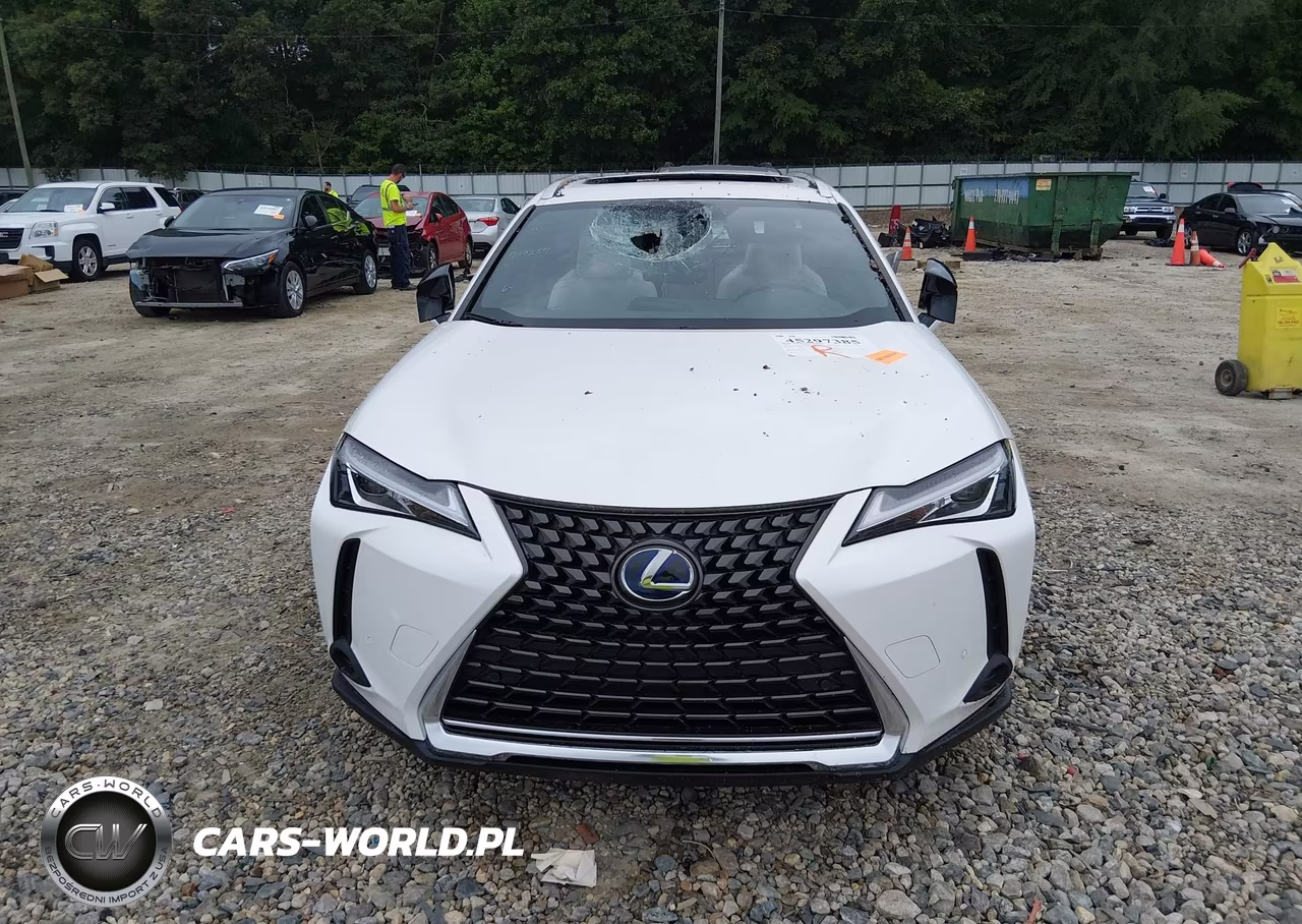 2019 Lexus Ux 250H VIN:JTHU9JBH5K2004826 - 12