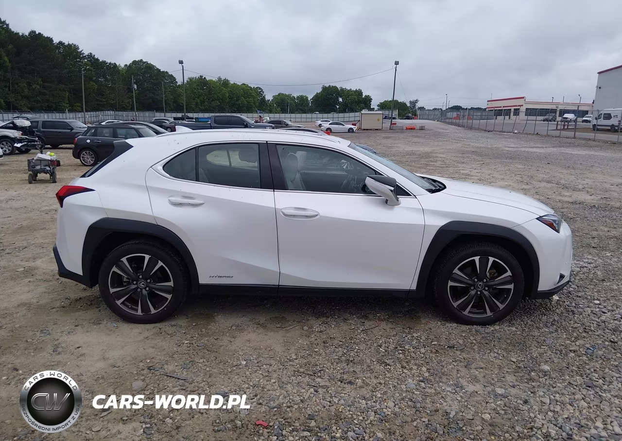 2019 Lexus Ux 250H VIN:JTHU9JBH5K2004826 - 13