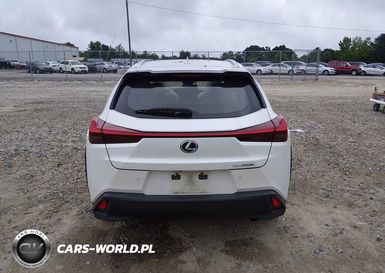 2019 Lexus Ux 250H VIN:JTHU9JBH5K2004826 - 16