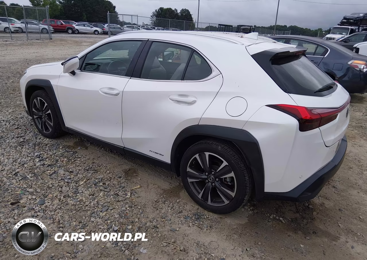 2019 Lexus Ux 250H VIN:JTHU9JBH5K2004826 - 3