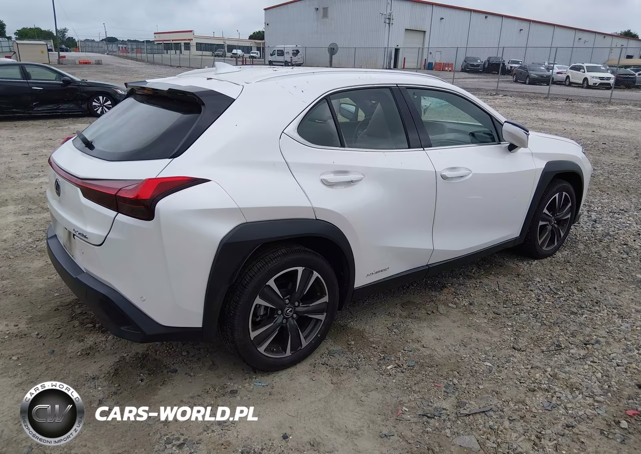 2019 Lexus Ux 250H VIN:JTHU9JBH5K2004826 - 4