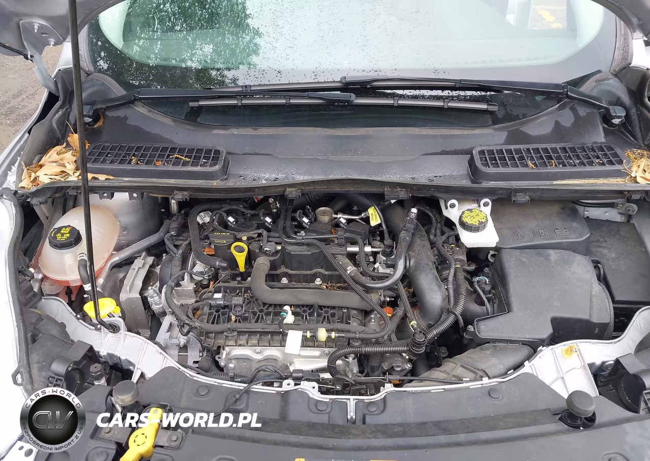 2019 Ford Escape Se VIN:1FMCU0GD3KUB62206 - 10