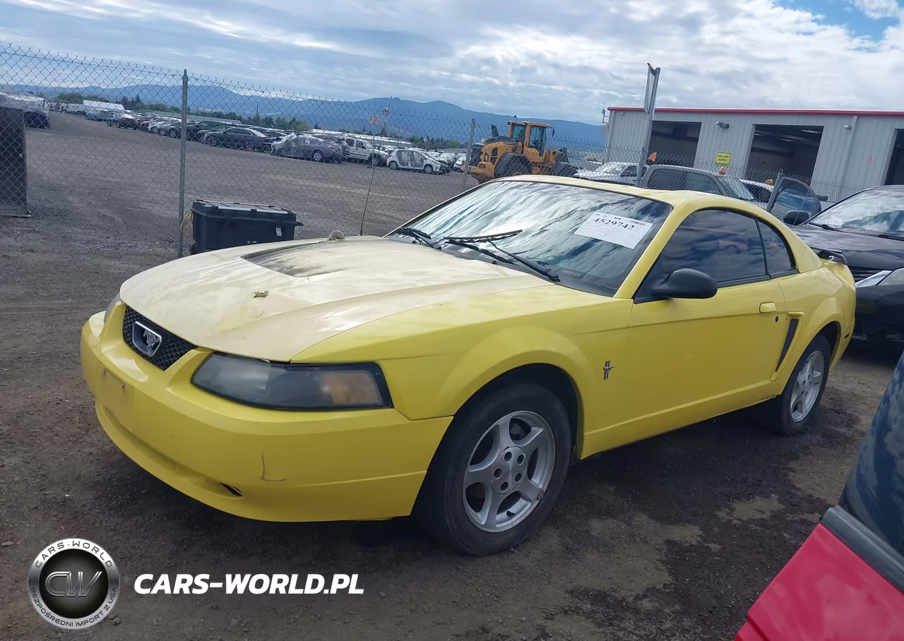 2003 Ford Mustang VIN:1FAFP40483F324885 - 2
