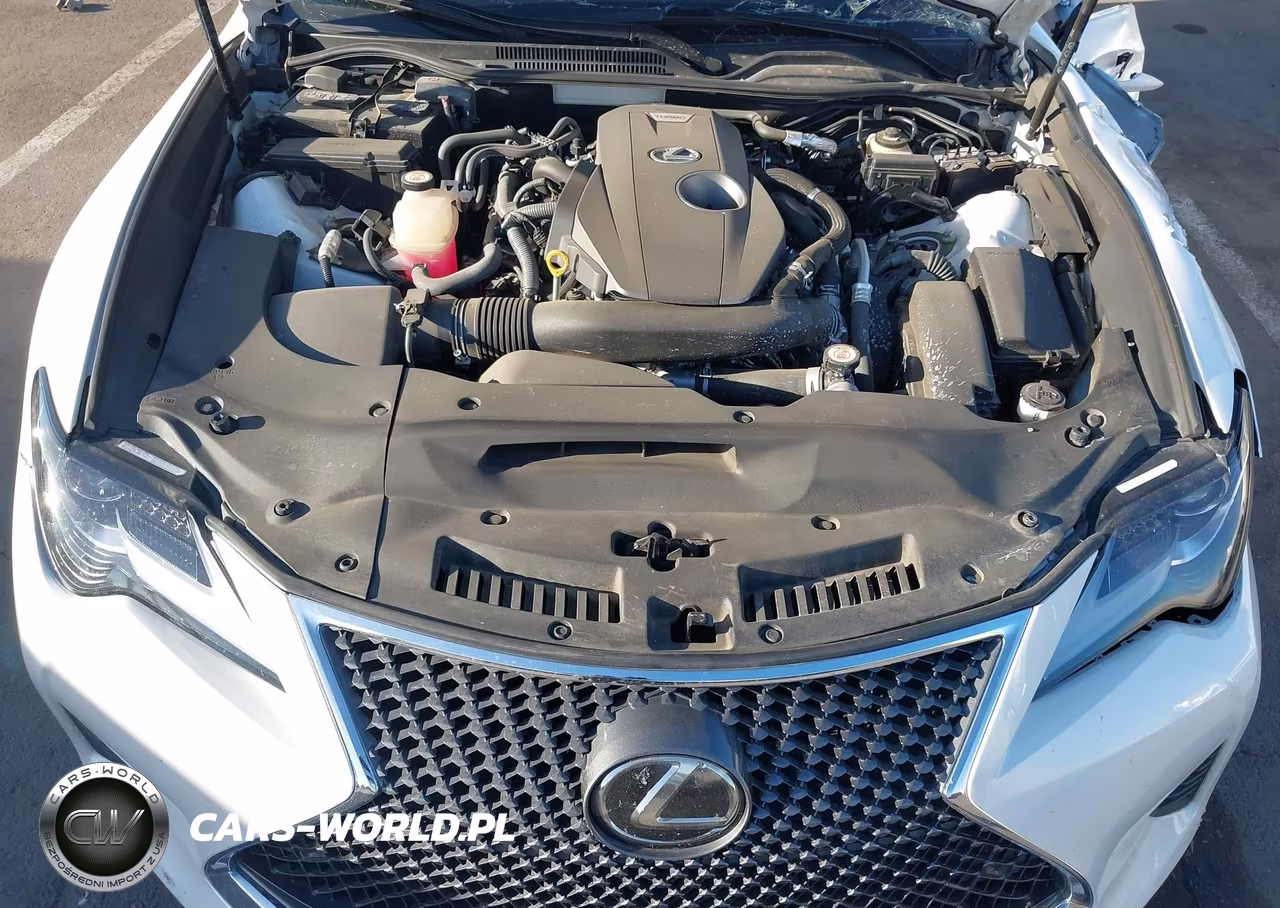 2019 Lexus Rc 300 VIN:JTHHA5BC6K5009309 - 10