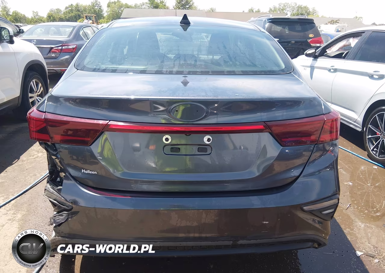 2020 Kia Forte Fe VIN:3KPF24AD9LE181608 - 17