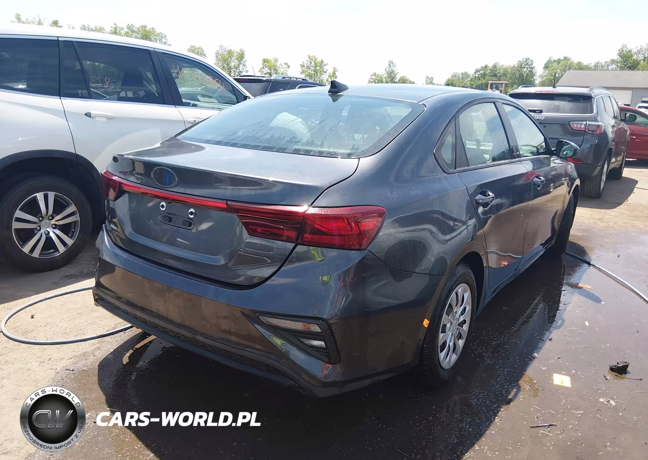 2020 Kia Forte Fe VIN:3KPF24AD9LE181608 - 4