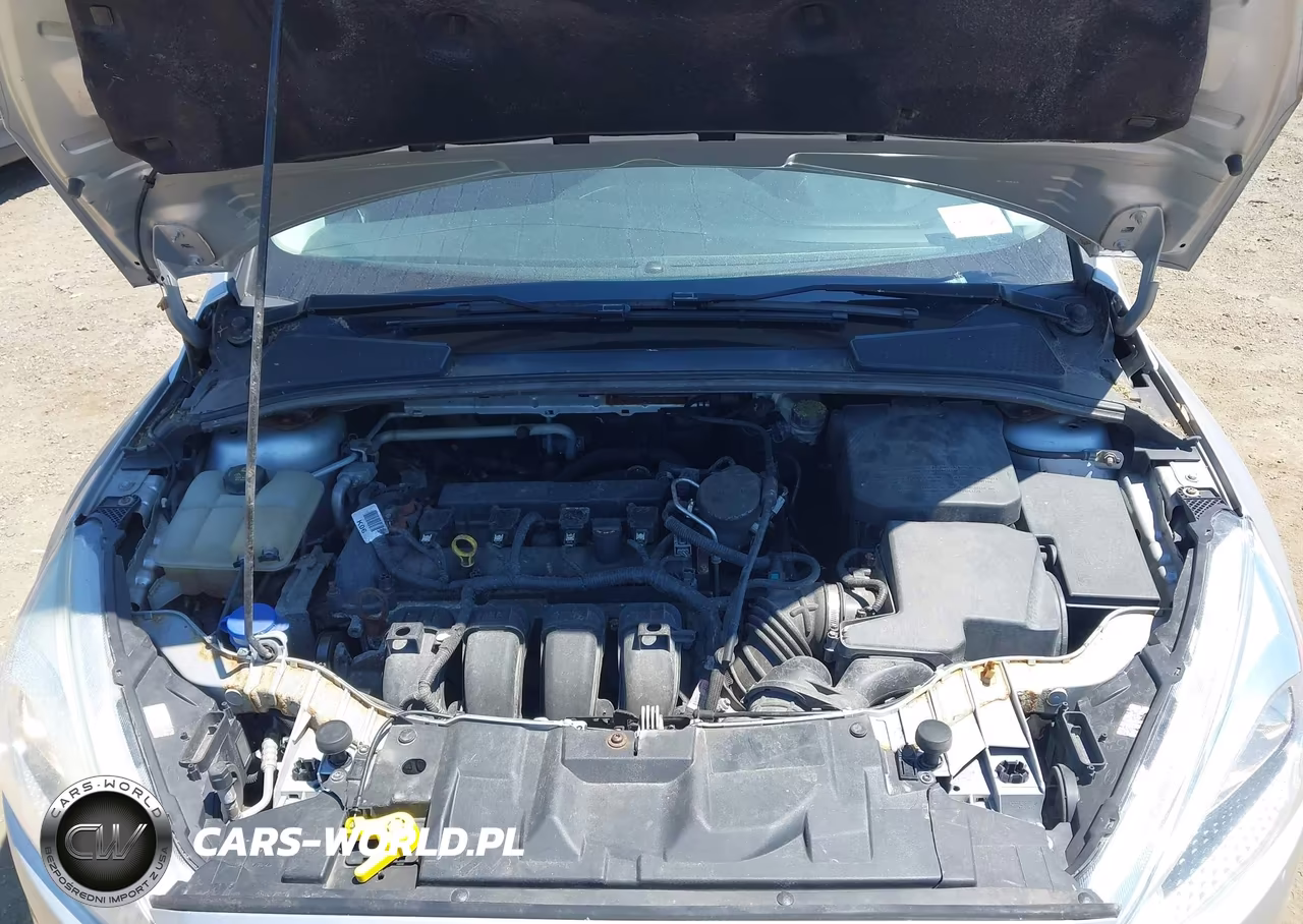 2015 Ford Focus Se VIN:1FADP3K22FL317935 - 10