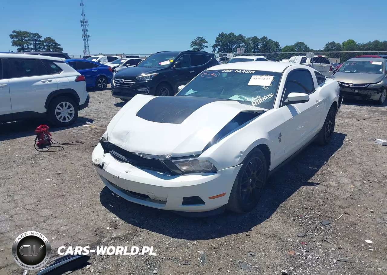 2012 Ford Mustang V6 Premium VIN:1ZVBP8AMXC5255246 - 2
