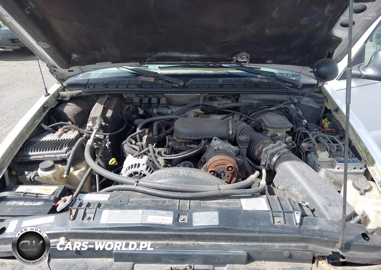 1996 Chevrolet S Truck S10 VIN:1GCDT14X8T8123444 - 10