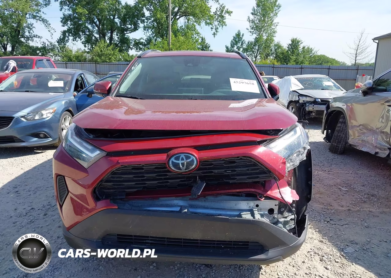 2024 Toyota Rav4 Xle VIN:2T3P1RFV1RW429790 - 12