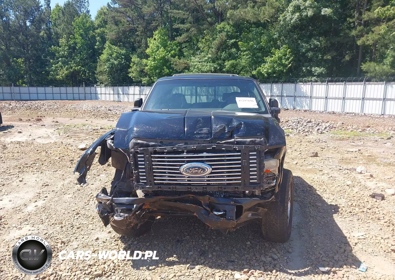 2010 Ford F-250 Cabela's-Harley-Davidson-King Ranch-Lariat-Xl-Xlt VIN:1FTSW2BR8AEA74494 - 12
