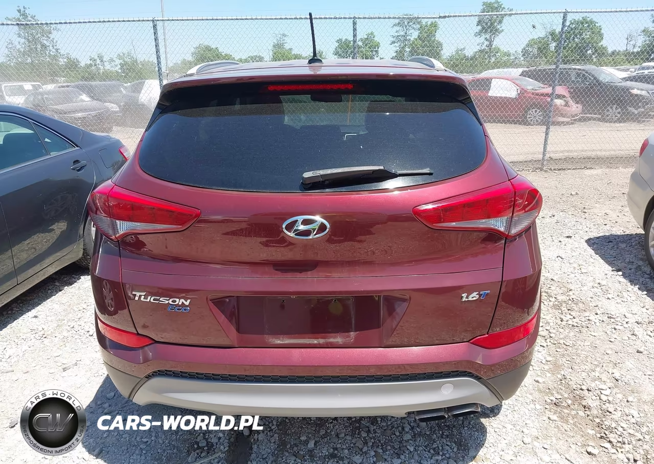 2017 Hyundai Tucson Eco VIN:KM8J33A28HU313911 - 16
