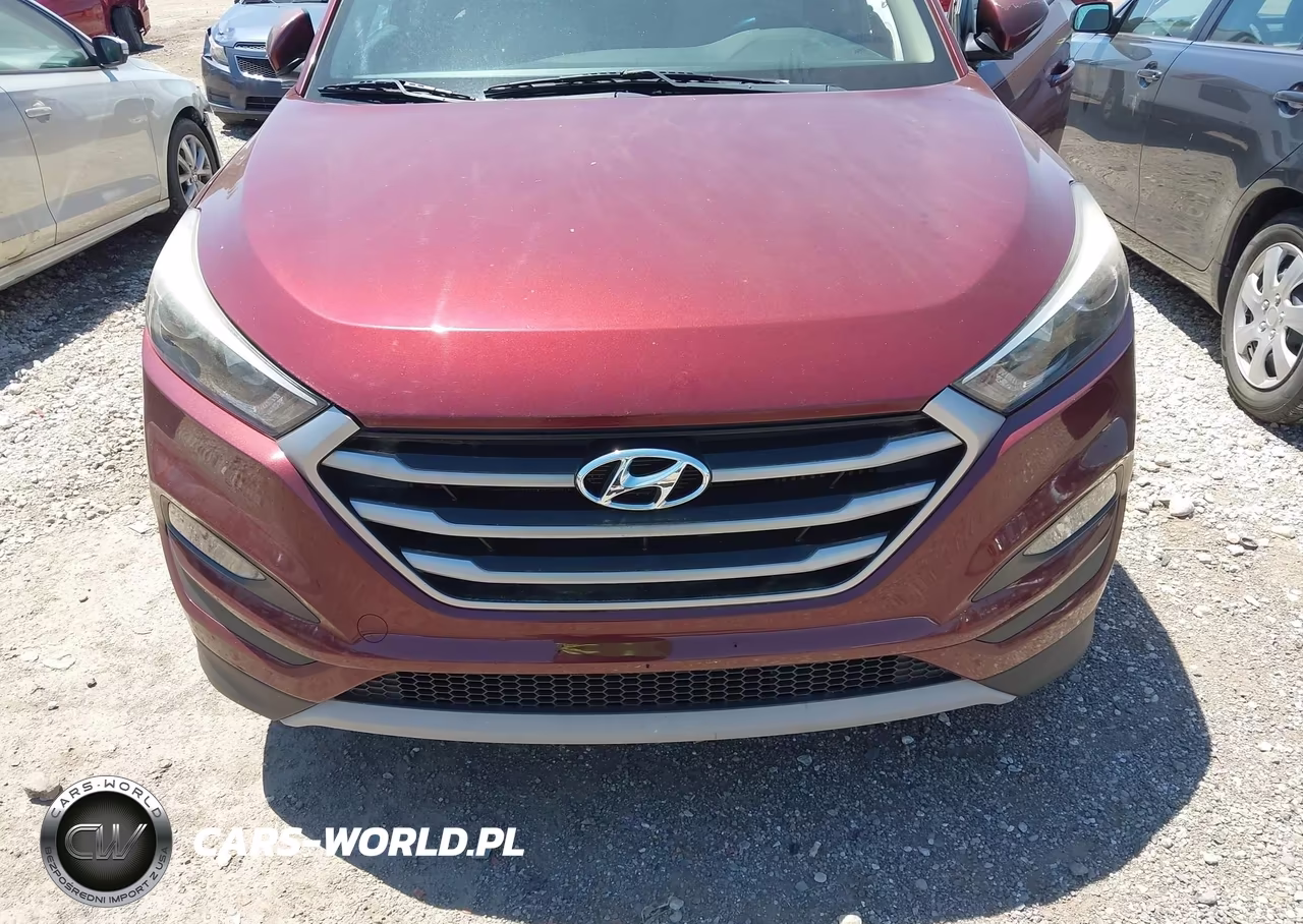 2017 Hyundai Tucson Eco VIN:KM8J33A28HU313911 - 6