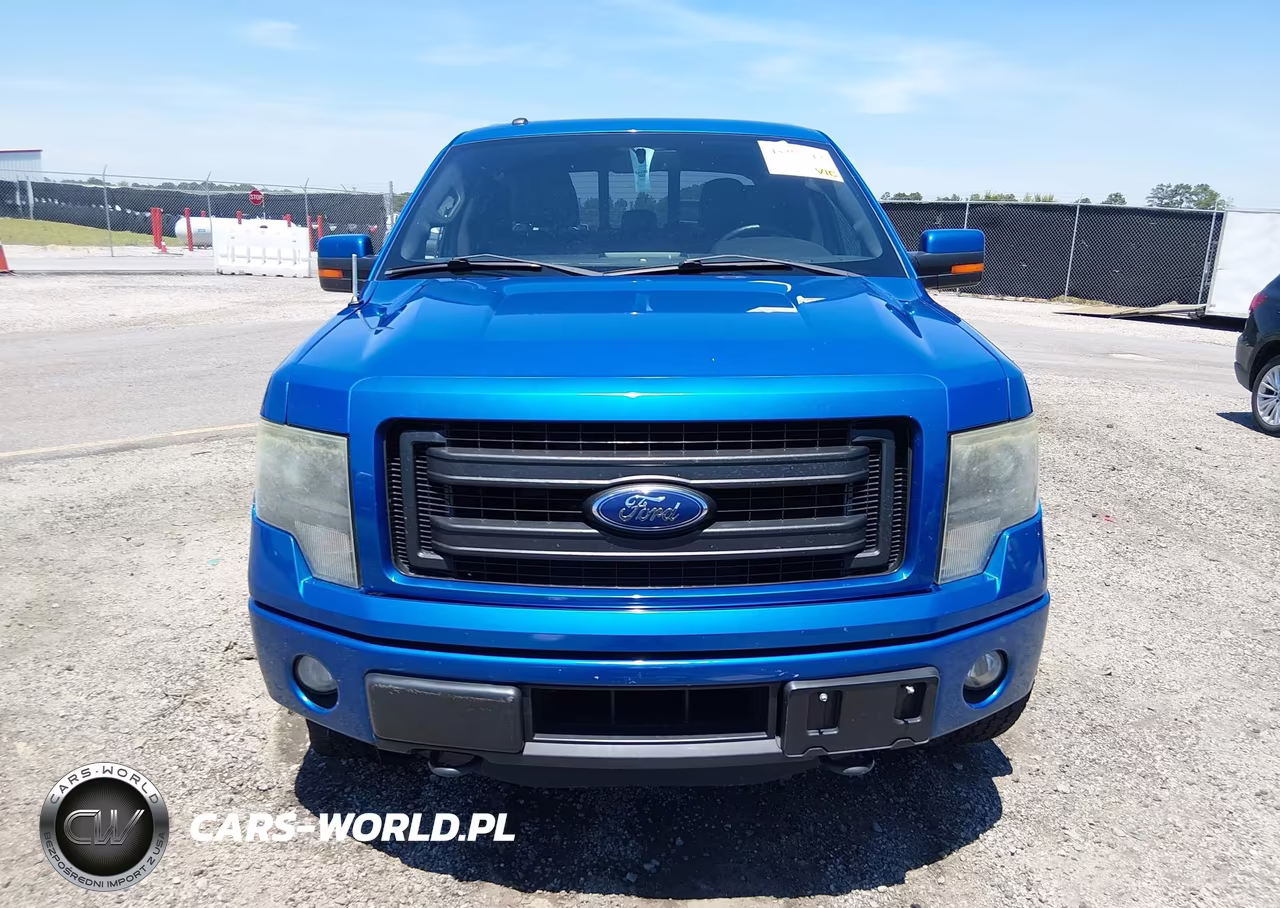 2014 Ford F-150 Fx4 VIN:1FTFW1ETXEFB49490 - 12