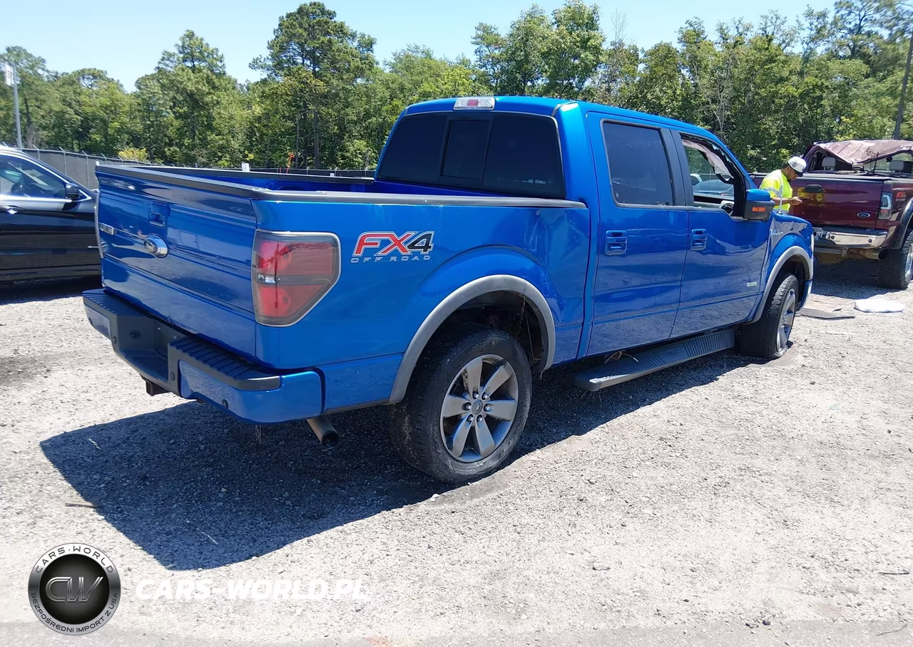 2014 Ford F-150 Fx4 VIN:1FTFW1ETXEFB49490 - 4