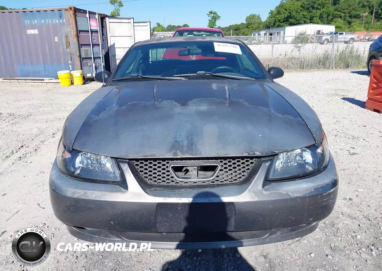 2003 Ford Mustang VIN:1FAFP40443F379012 - 12