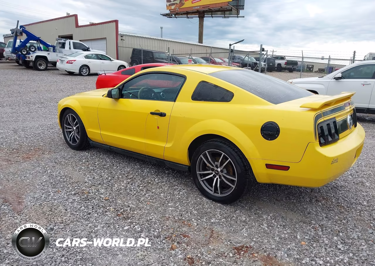 2005 Ford Mustang V6 Deluxe-V6 Premium VIN:1ZVFT80N755218696 - 3