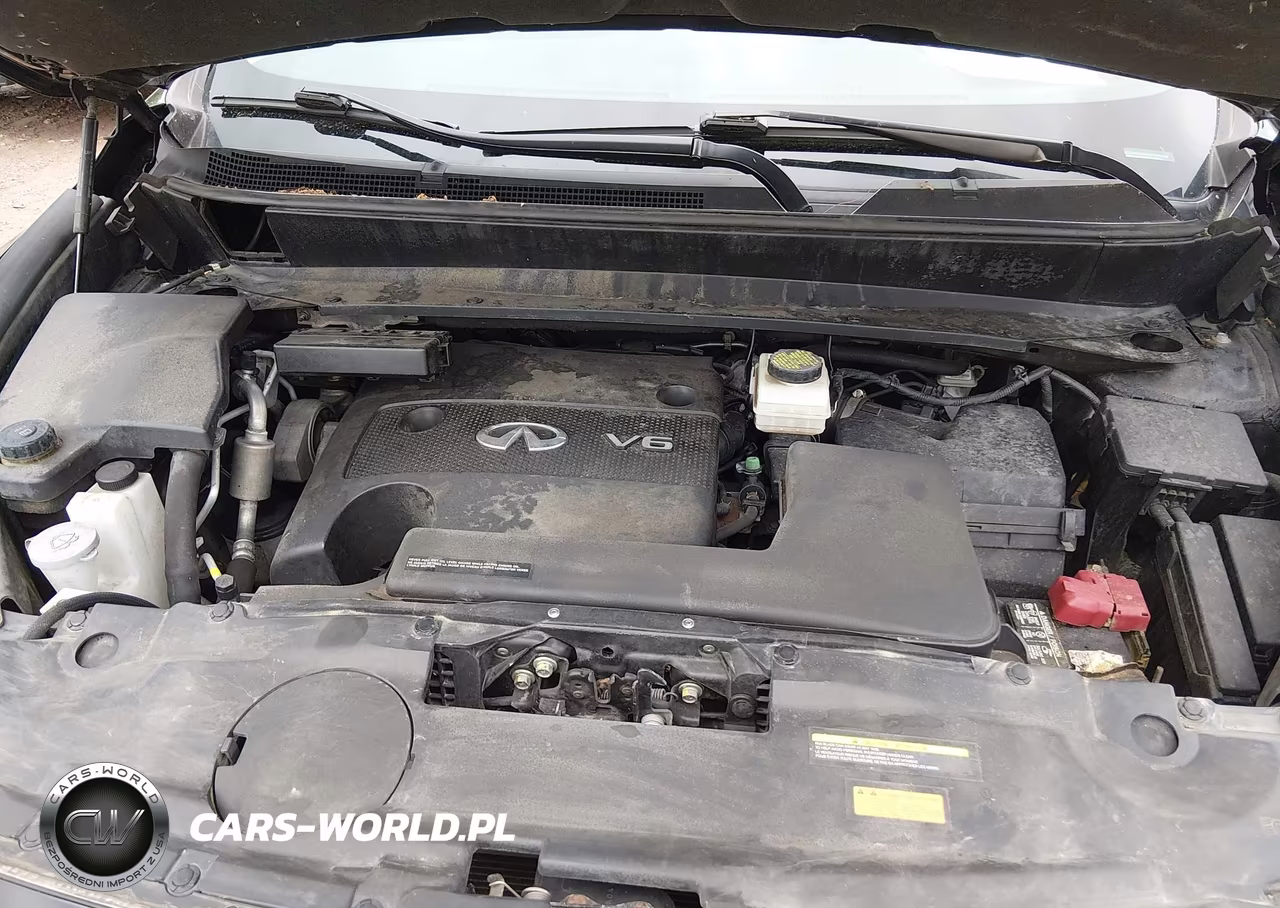 2015 Infiniti Qx60 VIN:5N1AL0MM5FC529052 - 10