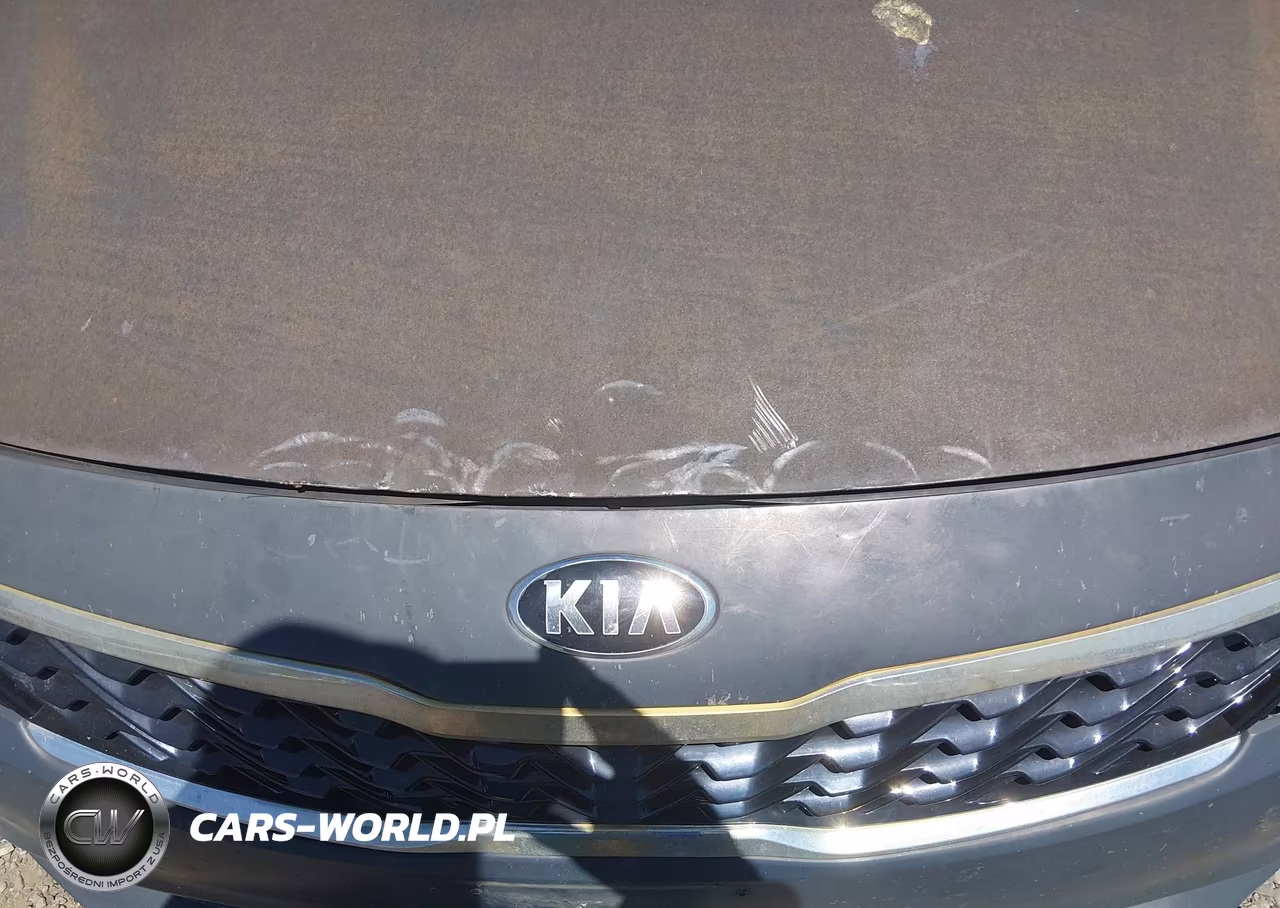 2020 Kia Optima Lx VIN:5XXGT4L39LG427229 - 17