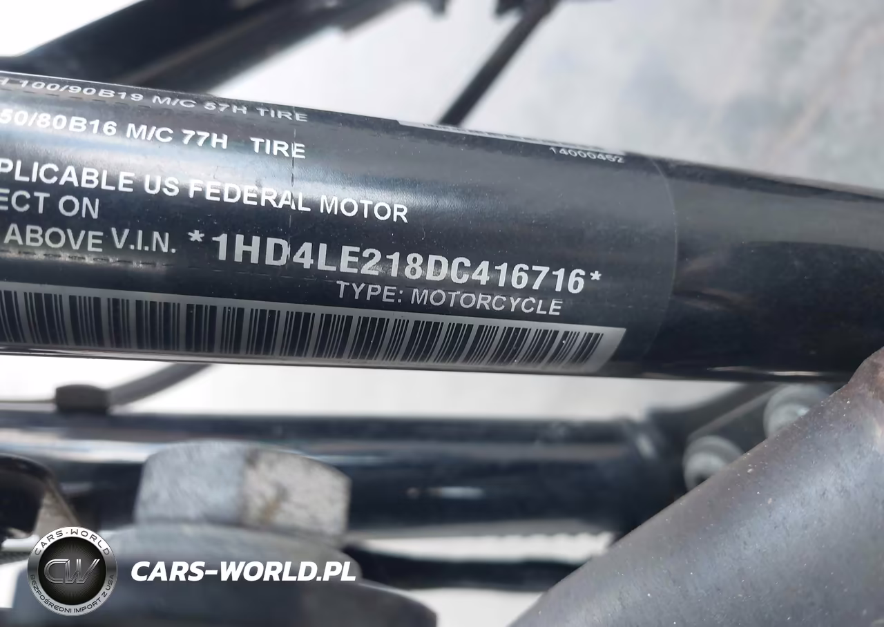 2013 Harley-Davidson Xl883 Iron 883 VIN:1HD4LE218DC416716 - 10