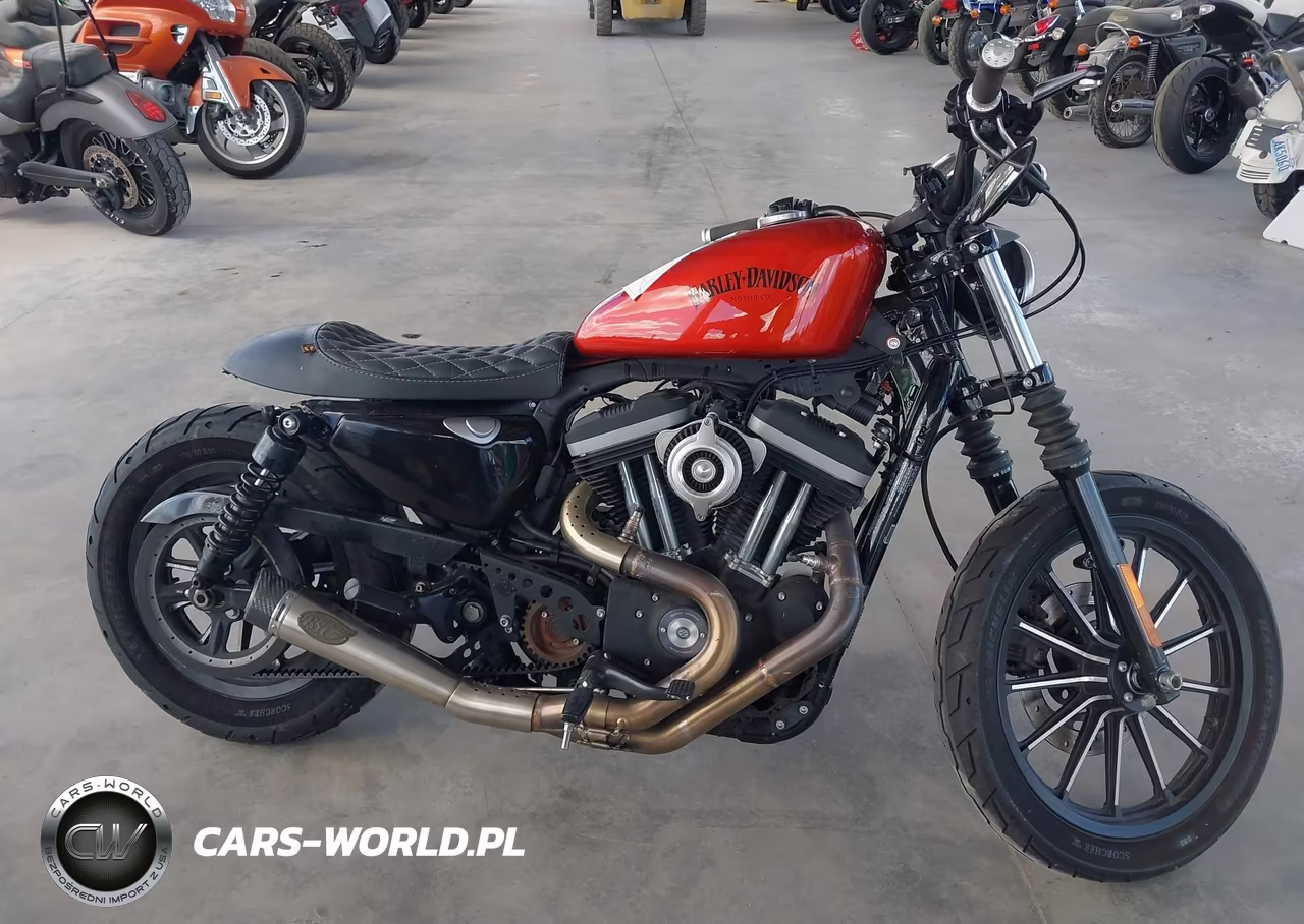 2013 Harley-Davidson Xl883 Iron 883 VIN:1HD4LE218DC416716 - 12
