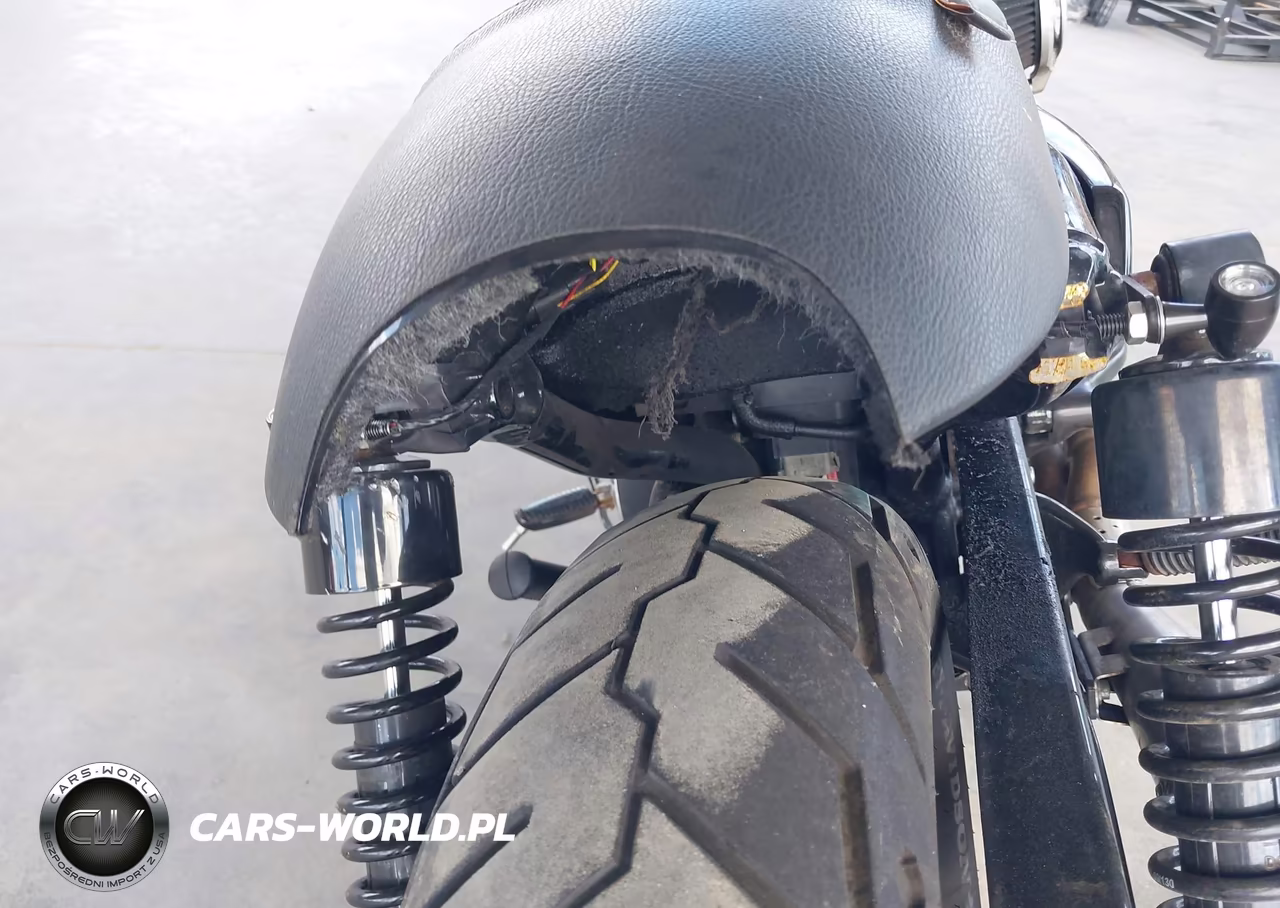 2013 Harley-Davidson Xl883 Iron 883 VIN:1HD4LE218DC416716 - 15