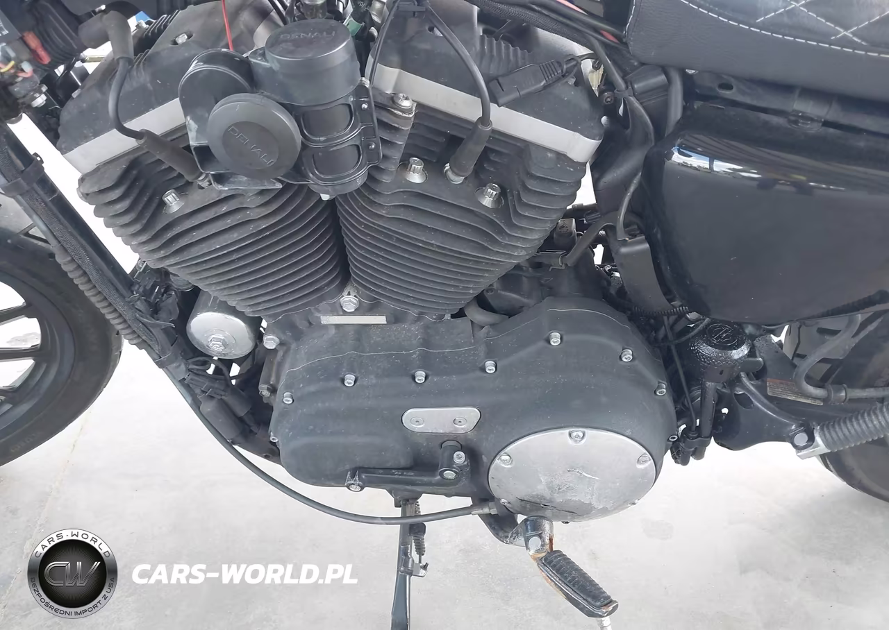 2013 Harley-Davidson Xl883 Iron 883 VIN:1HD4LE218DC416716 - 9