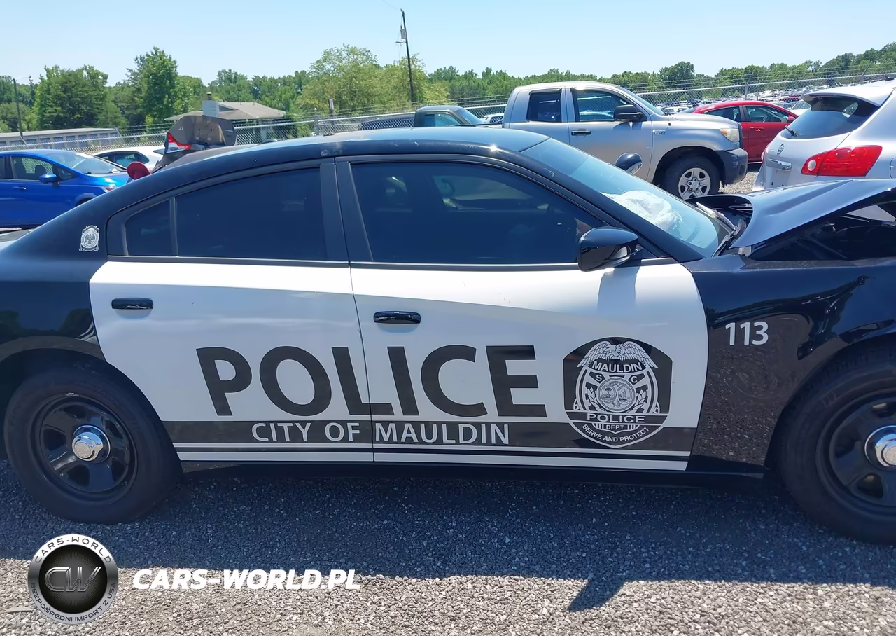 2023 Dodge Charger Police VIN:2C3CDXAT1PH673053 - 13