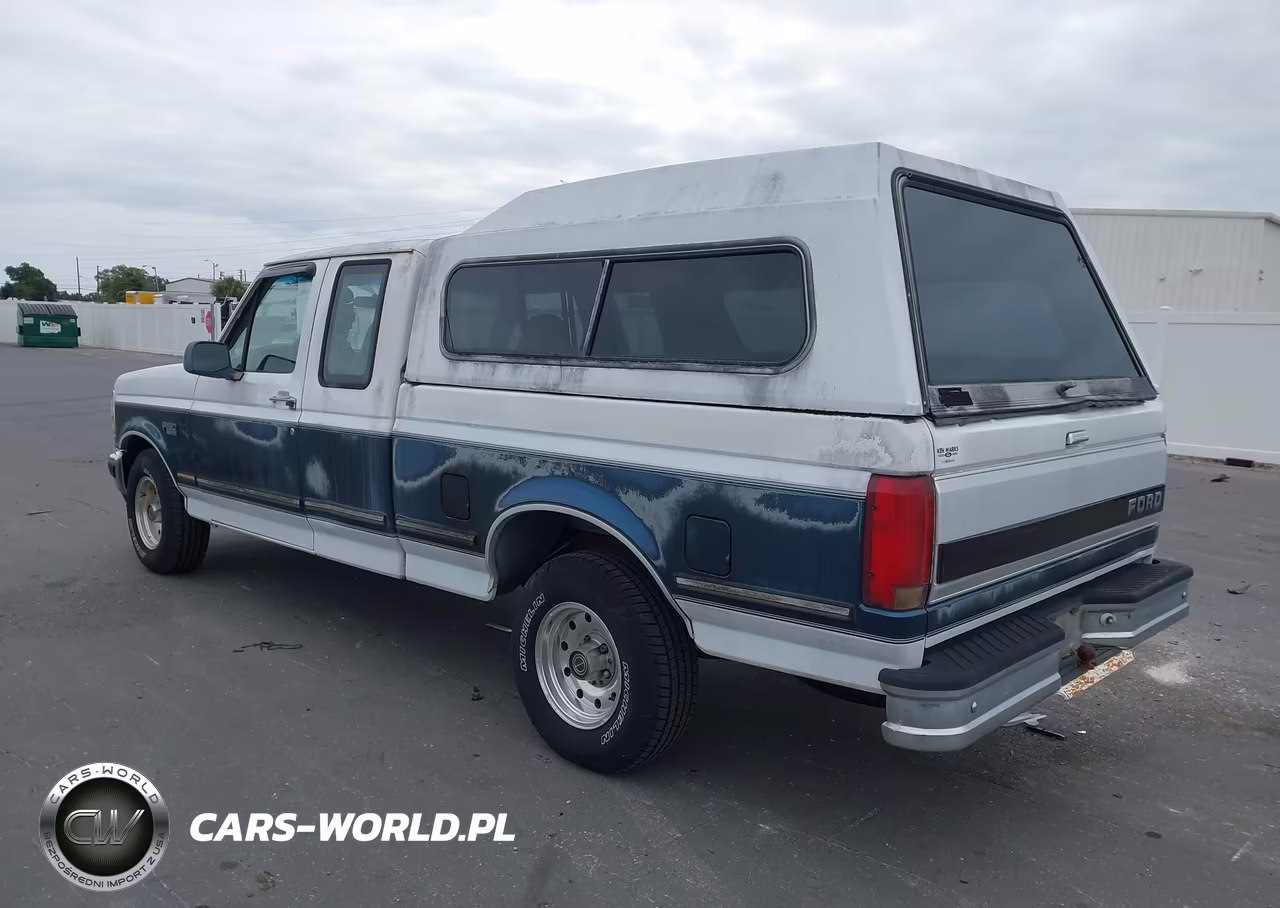 1995 Ford F150 VIN:1FTEX15N0SKC17972 - 3