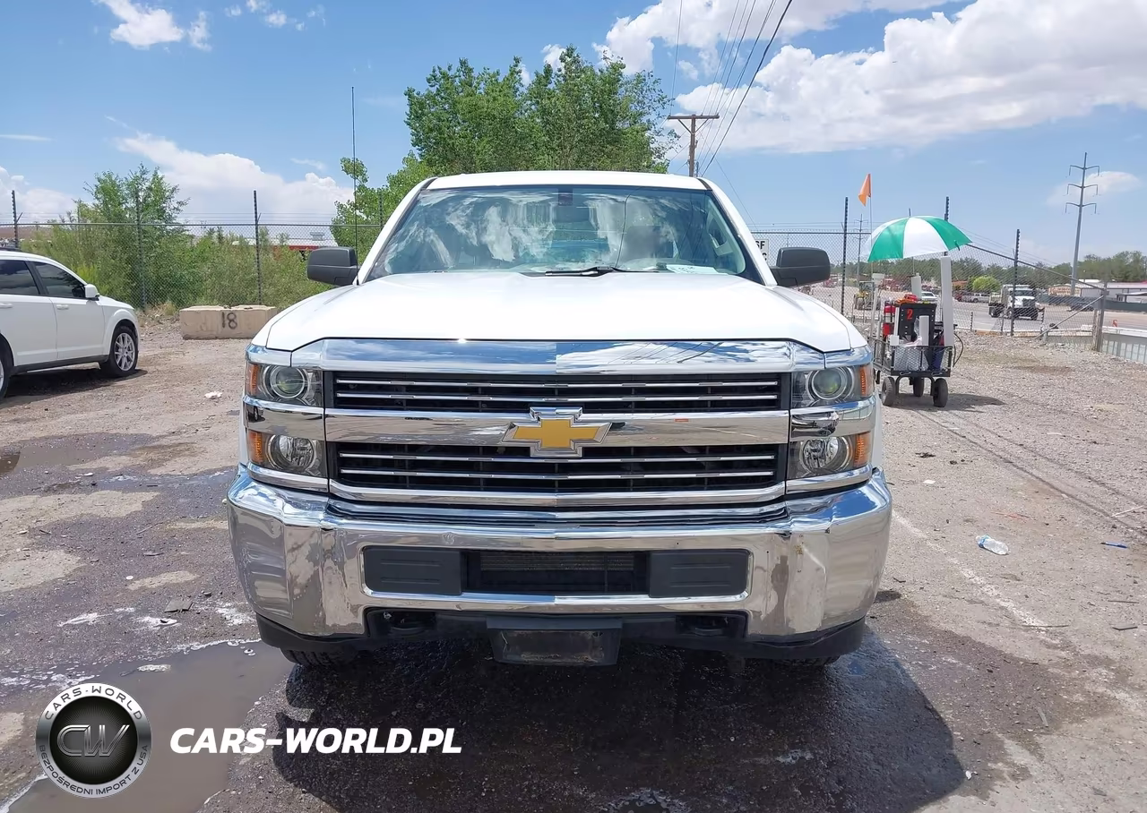 2017 Chevrolet Silverado 2500Hd Wt VIN:1GC1KUEG9HF205966 - 17