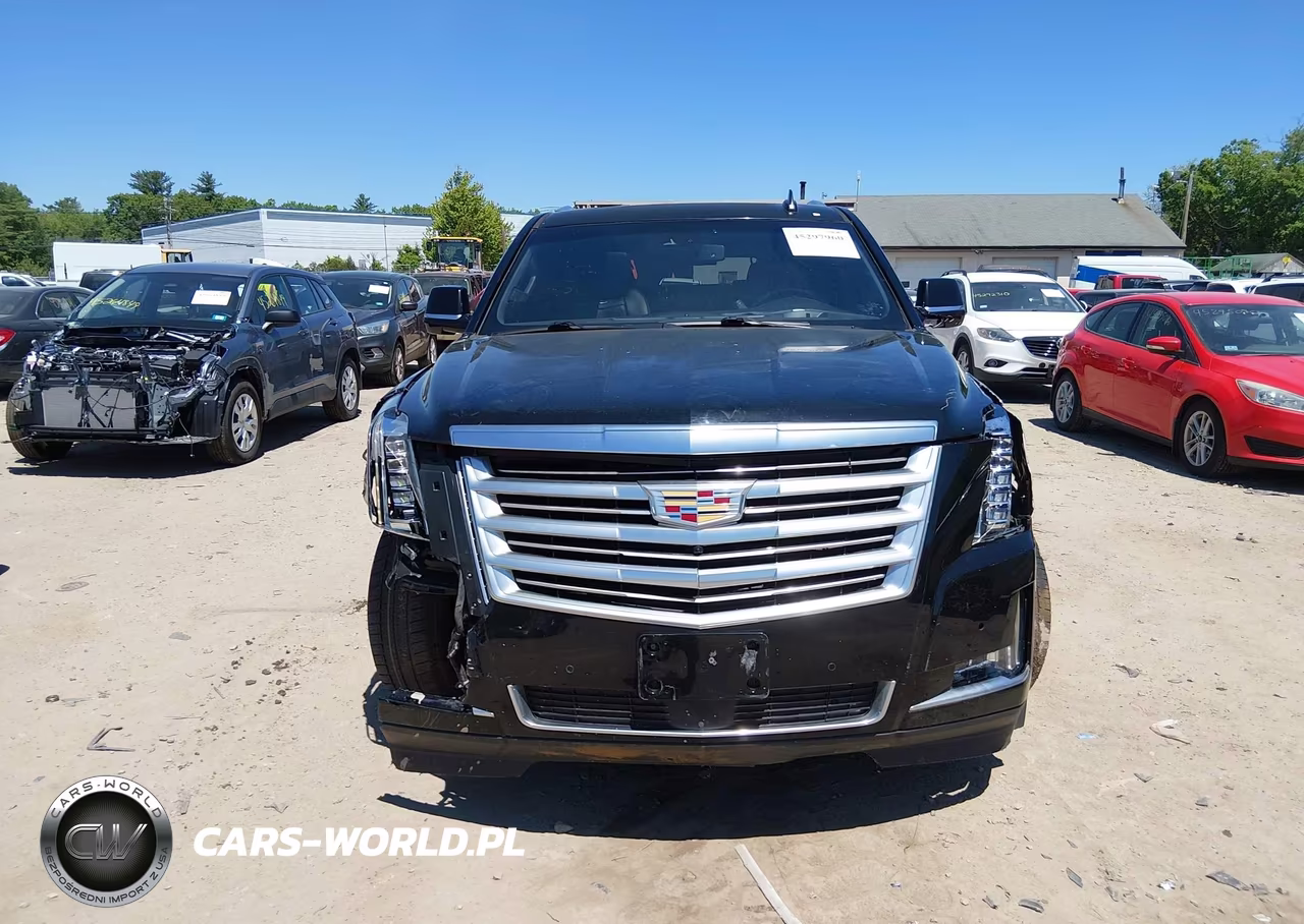 2016 Cadillac Escalade Esv Platinum VIN:1GYS4KKJ2GR187174 - 12