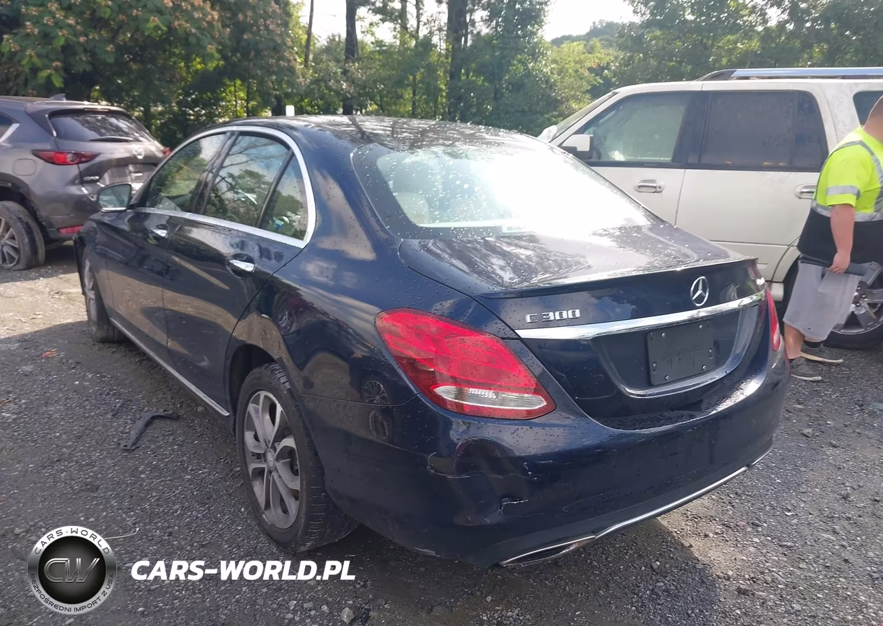 2016 Mercedes-Benz C 300 4Matic VIN:55SWF4KB7GU140281 - 3