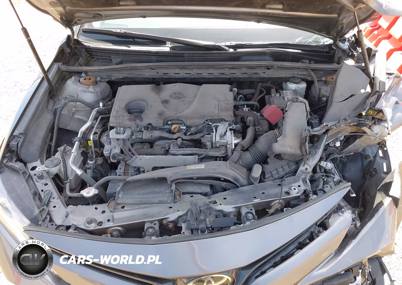 2019 Toyota Camry Le VIN:4T1B11HK4KU256554 - 10