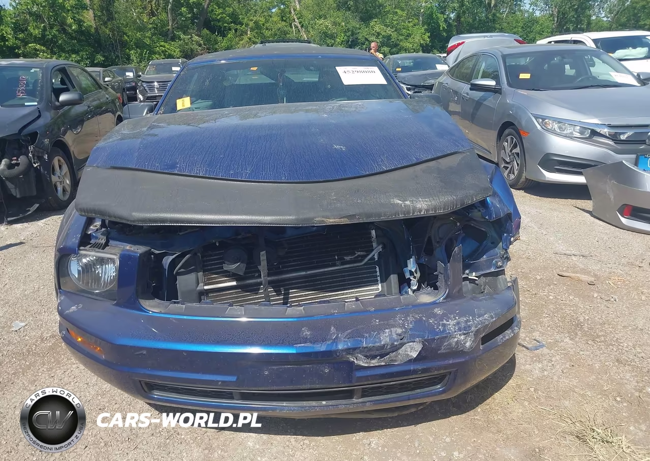 2007 Ford Mustang V6 Deluxe-V6 Premium VIN:1ZVFT84N175201423 - 13